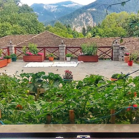 Eufrosini Guesthouse Мецово Екстер'єр фото