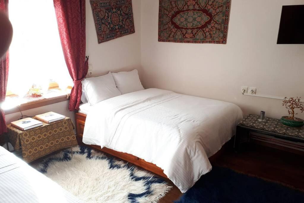 Eufrosini Guesthouse Мецово Екстер'єр фото