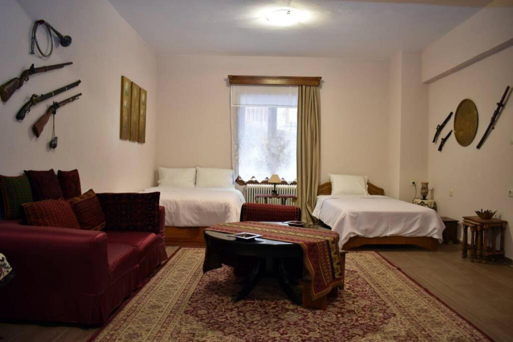 Eufrosini Guesthouse Мецово Екстер'єр фото