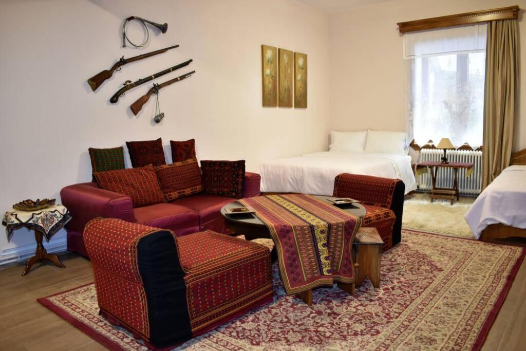 Eufrosini Guesthouse Мецово Екстер'єр фото