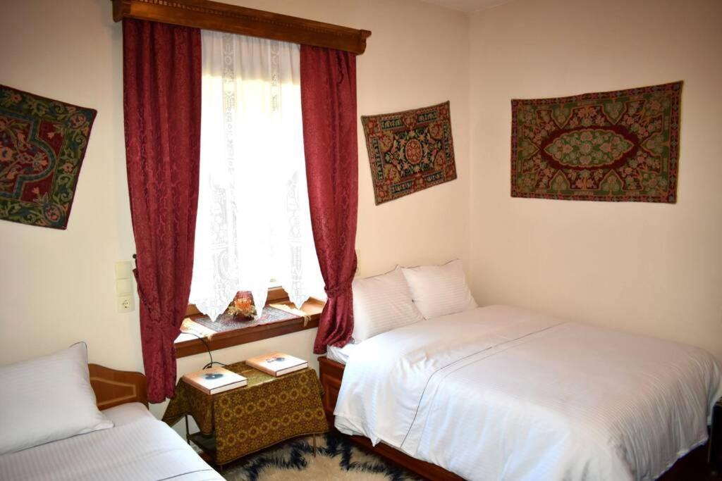 Eufrosini Guesthouse Мецово Екстер'єр фото