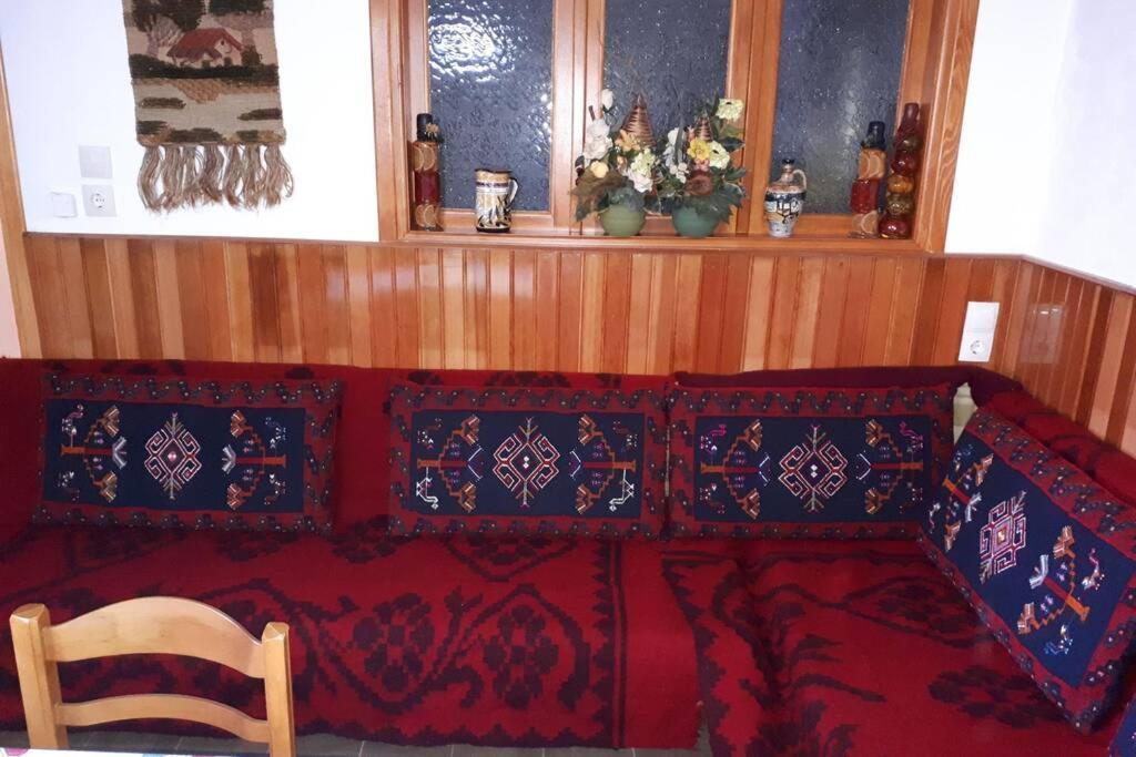 Eufrosini Guesthouse Мецово Екстер'єр фото